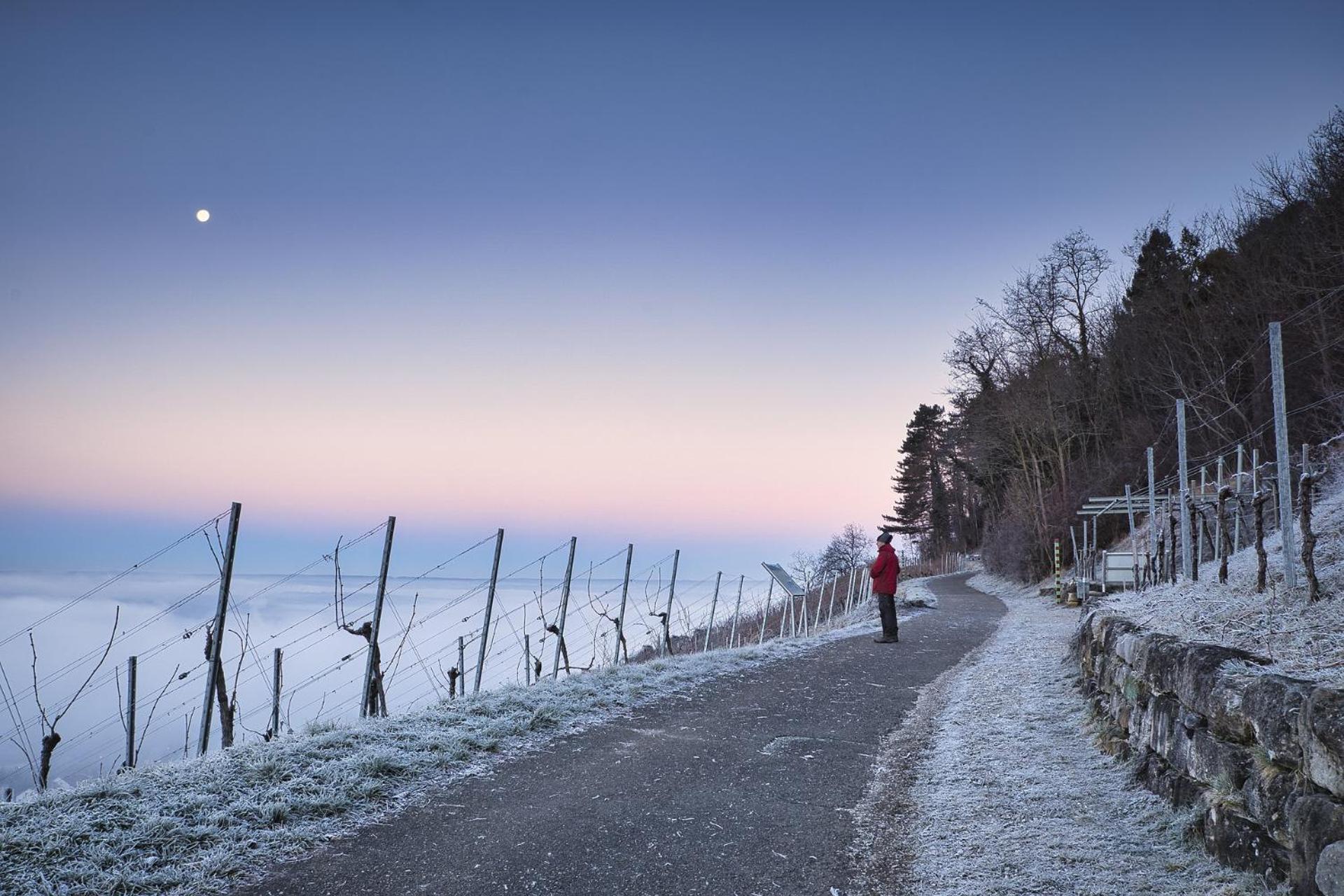 Gasthaus Zur Rebe メーリング エクステリア 写真